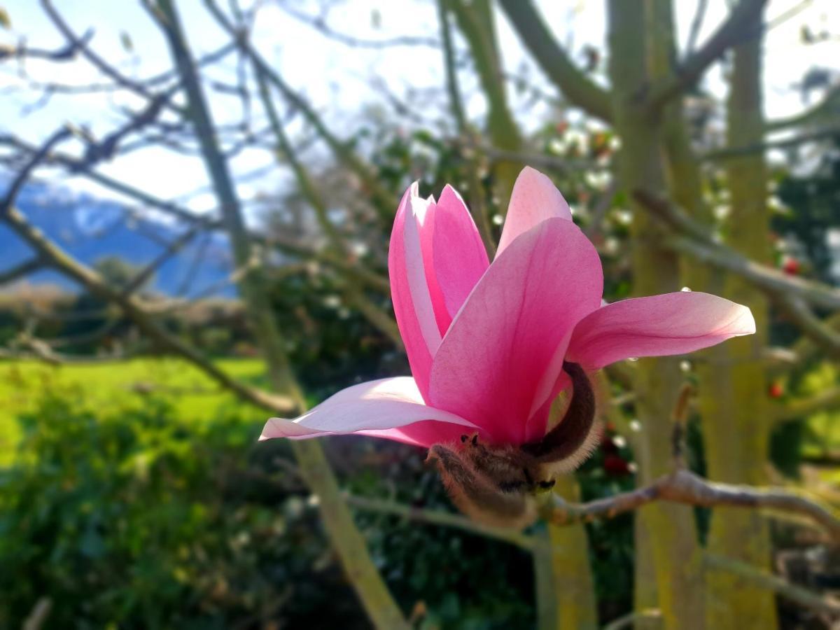 Te Mahuru Retreat Kaikoura Ngoại thất bức ảnh